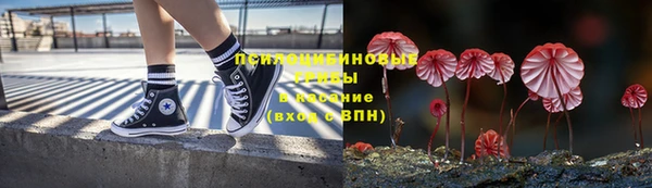 гашик Артём
