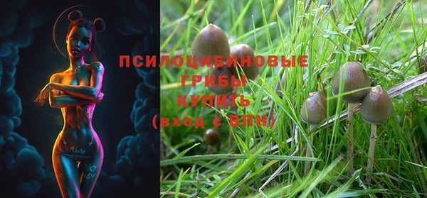 бошки Майский