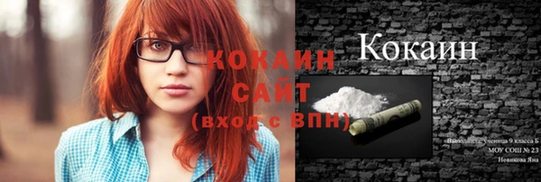 стаф Бердск