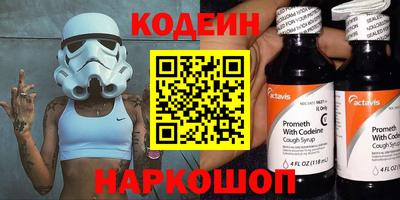 индика Гатчина