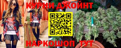 индика Гатчина