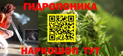 индика Гатчина