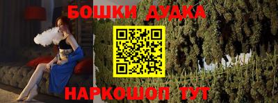 индика Гатчина