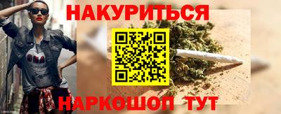 индика Гатчина
