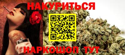 индика Гатчина