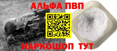 индика Гатчина