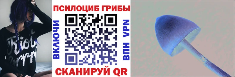Псилоцибиновые грибы мухоморы  МЕГА как войти  Ирбит  даркнет как зайти  наркота 