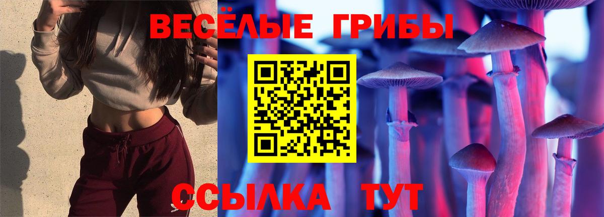 Ирбит  где купить наркоту  Вход с VPN  Галлюциногенные грибы MAGIC MUSHROOMS 